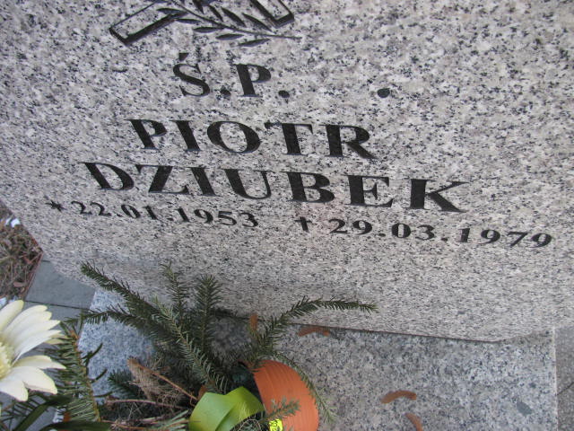 Dominik Dziubek 2016 Katowice - Grobonet - Wyszukiwarka osób pochowanych