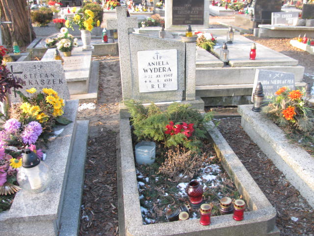 Grób Andrzej Wydera