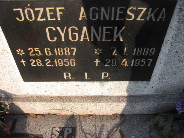 Adrian Pieprzak 1944 Katowice - Grobonet - Wyszukiwarka osób pochowanych