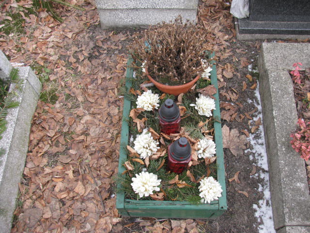 Aleksandra Urbacz 1978 Katowice - Grobonet - Wyszukiwarka osób pochowanych