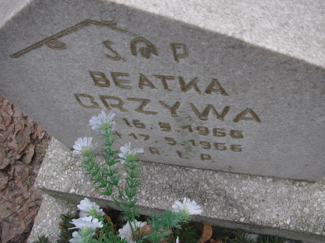 Beata Grzywa 1965 Katowice - Grobonet - Wyszukiwarka osób pochowanych