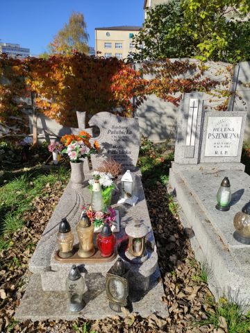Grób Helena Pałubicka