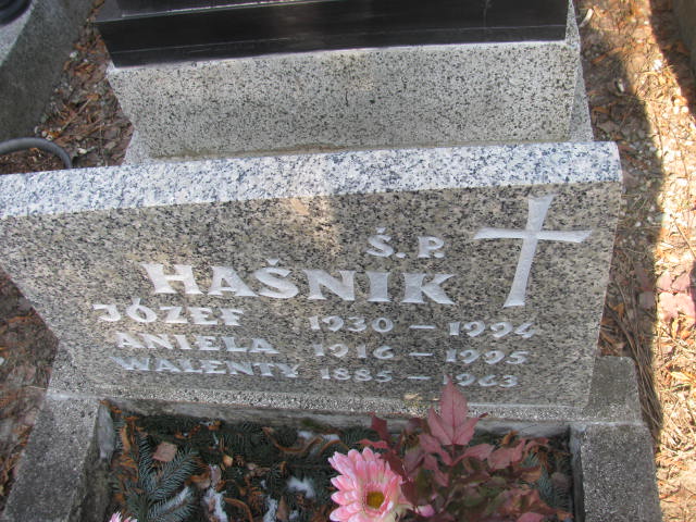 Walenty Haśnik 1885 Katowice - Grobonet - Wyszukiwarka osób pochowanych