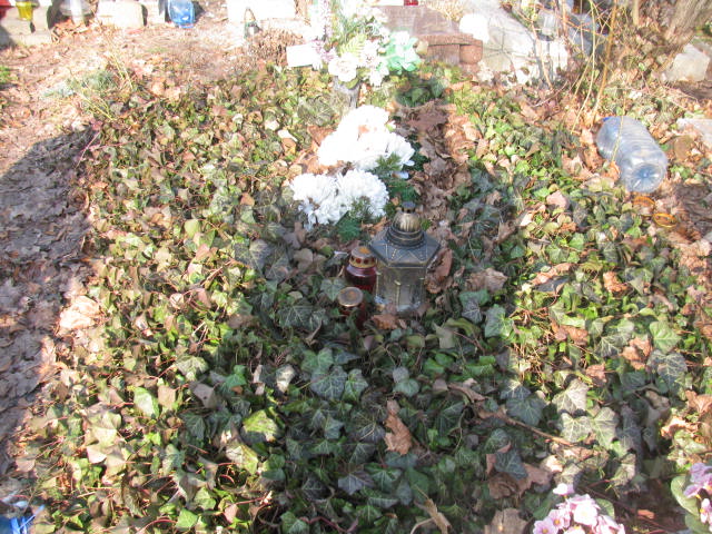 Teresa Chrobok Katowice - Grobonet - Wyszukiwarka osób pochowanych