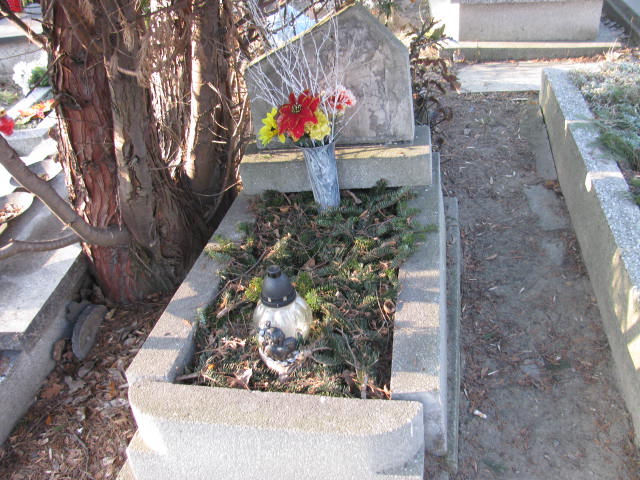  NN Katowice - Grobonet - Wyszukiwarka osób pochowanych