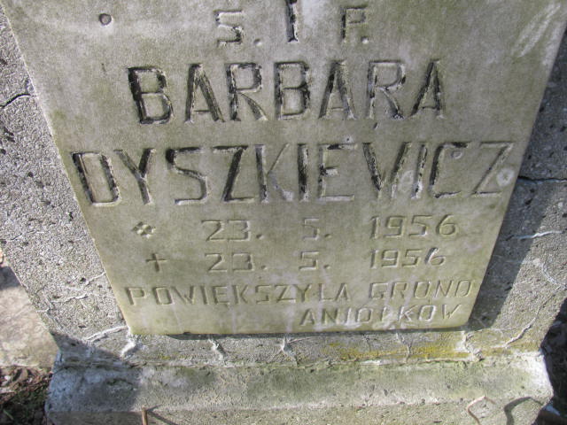 Barbara Dyszkiewicz 1956 Katowice - Grobonet - Wyszukiwarka osób pochowanych