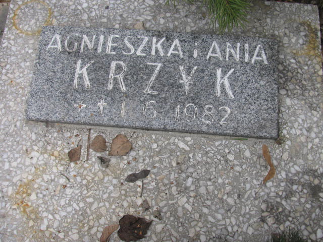 Anna Krzyk 1982 Katowice - Grobonet - Wyszukiwarka osób pochowanych