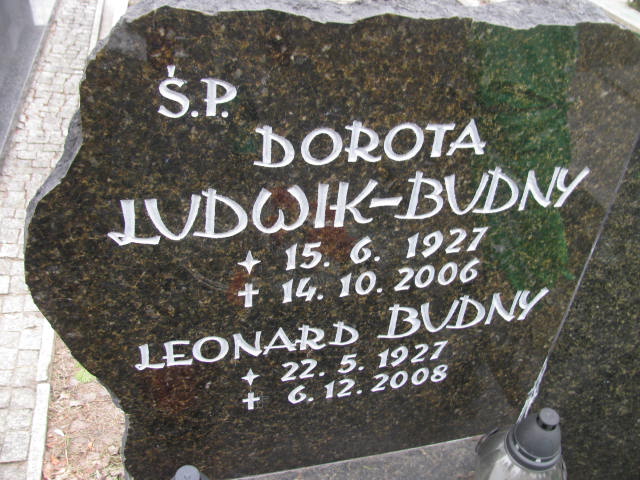 Grzegorz Budny 1956 Katowice - Grobonet - Wyszukiwarka osób pochowanych