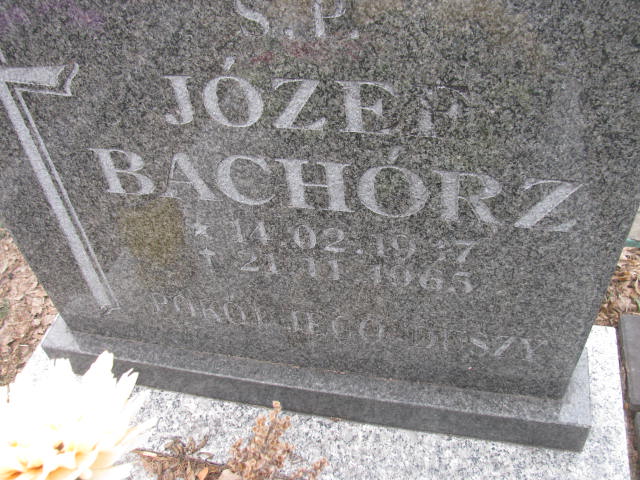 Józef Bachórz 1917 Katowice - Grobonet - Wyszukiwarka osób pochowanych