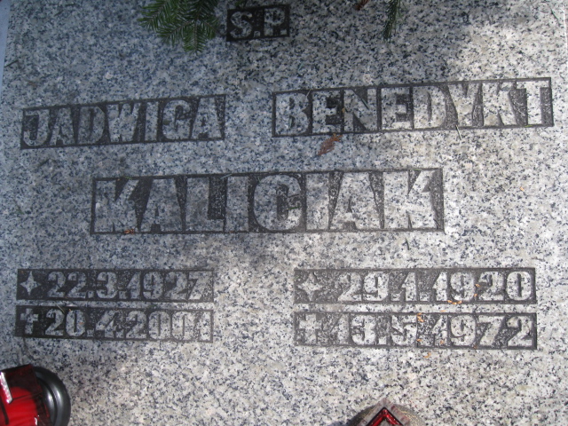 Benedykt Kaliciak 1920 Katowice - Grobonet - Wyszukiwarka osób pochowanych