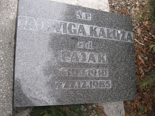 Teresa Kałuża 1933 Katowice - Grobonet - Wyszukiwarka osób pochowanych