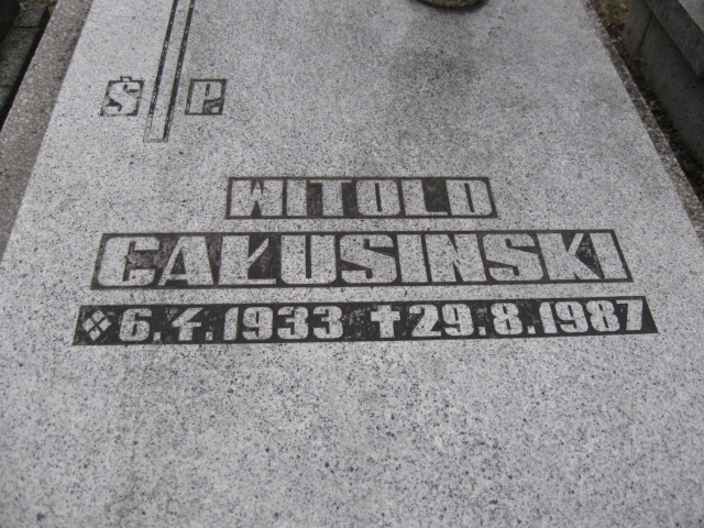 Wanda Całusińska 1935 Katowice - Grobonet - Wyszukiwarka osób pochowanych