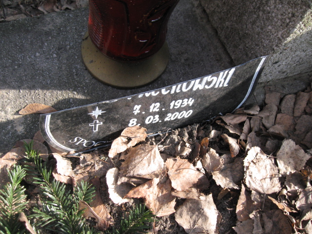 Sylwia Orzechowska 1942 Katowice - Grobonet - Wyszukiwarka osób pochowanych