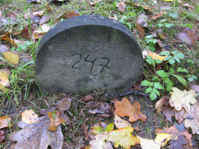 Marian Patalong 1943 Katowice - Grobonet - Wyszukiwarka osób pochowanych