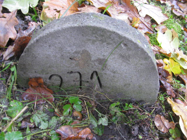 Maria Draksinger 1922 Katowice - Grobonet - Wyszukiwarka osób pochowanych