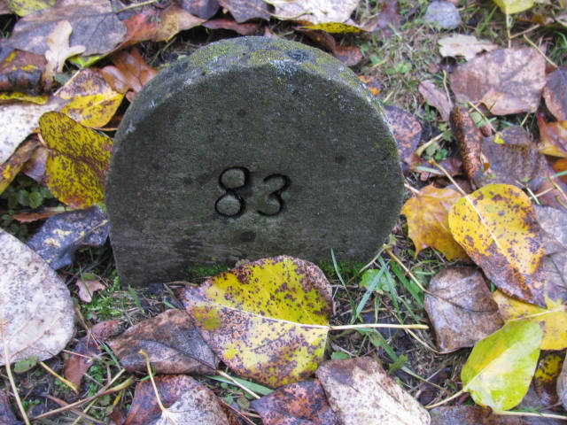 Jerzy Pawlikowski 1941 Katowice - Grobonet - Wyszukiwarka osób pochowanych