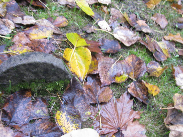 Henryk Zamojski Katowice - Grobonet - Wyszukiwarka osób pochowanych