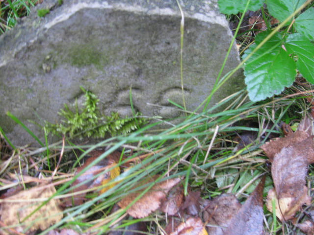 Piotr Patalong 1927 Katowice - Grobonet - Wyszukiwarka osób pochowanych