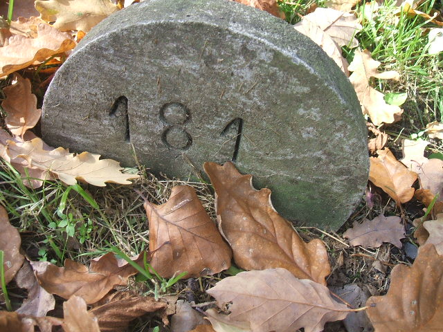 Jan Kowalski 1936 Katowice - Grobonet - Wyszukiwarka osób pochowanych