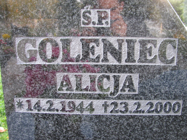 Grób Józef Goleniec