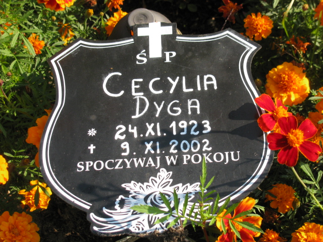 Jadwiga Dyga Katowice - Grobonet - Wyszukiwarka osób pochowanych