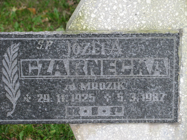 Józef Czarnecki  1956 Katowice - Grobonet - Wyszukiwarka osób pochowanych