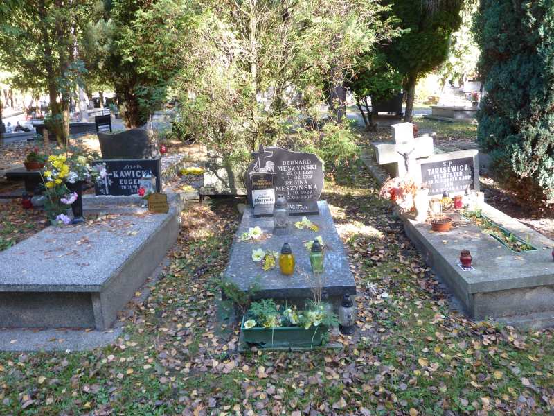  Meszyńska  1927 Katowice - Grobonet - Wyszukiwarka osób pochowanych