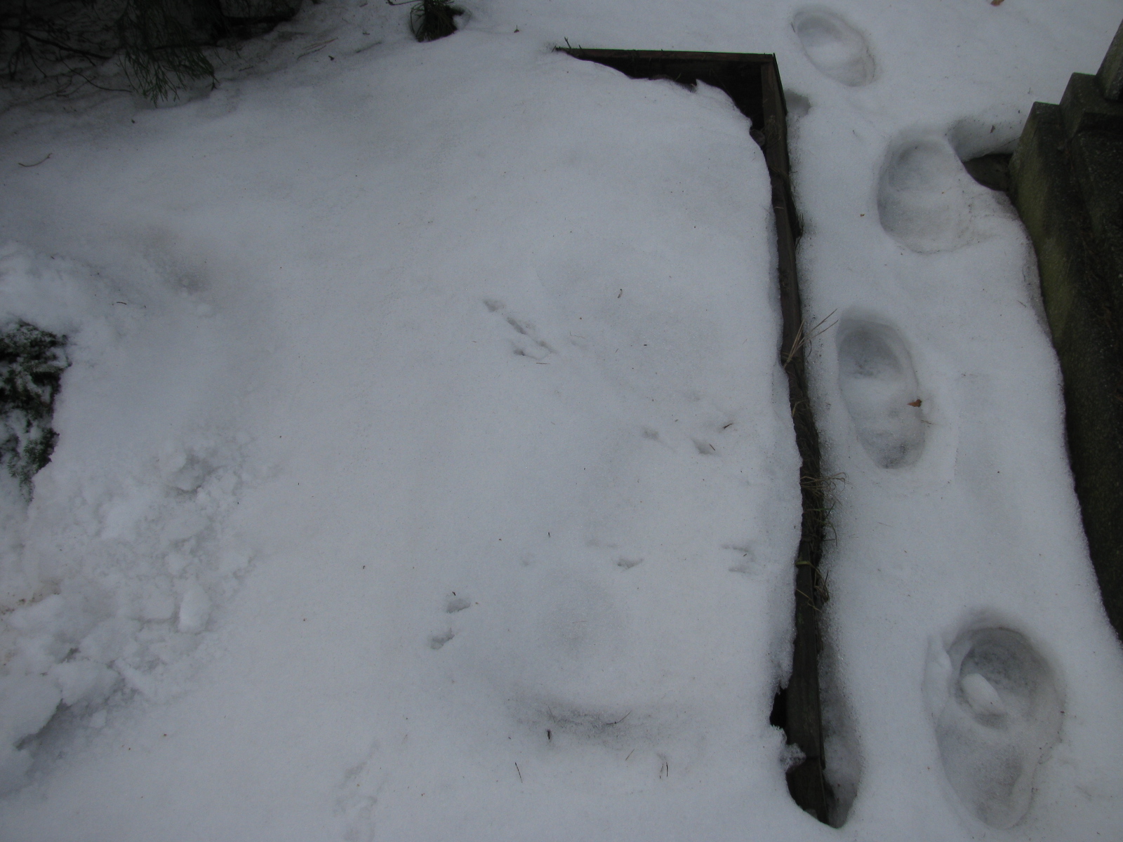 Józef Polerz 1947 Katowice - Grobonet - Wyszukiwarka osób pochowanych