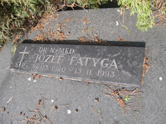 Józef Fatyga 1920 Katowice - Grobonet - Wyszukiwarka osób pochowanych