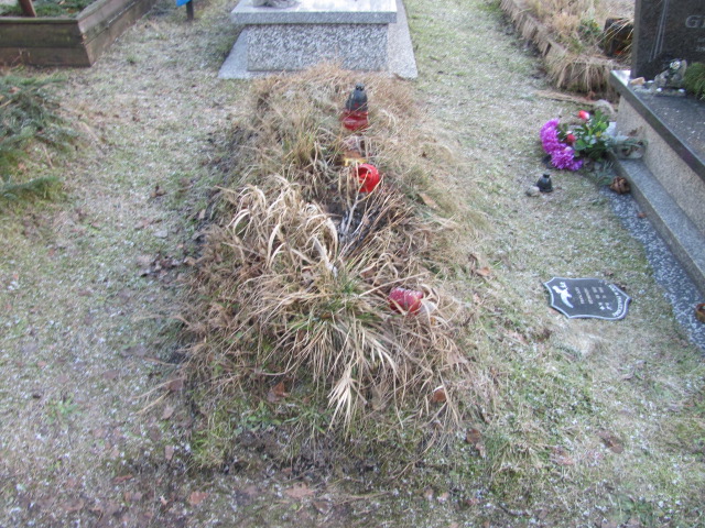 Ryszard Mokry 1932 Katowice - Grobonet - Wyszukiwarka osób pochowanych