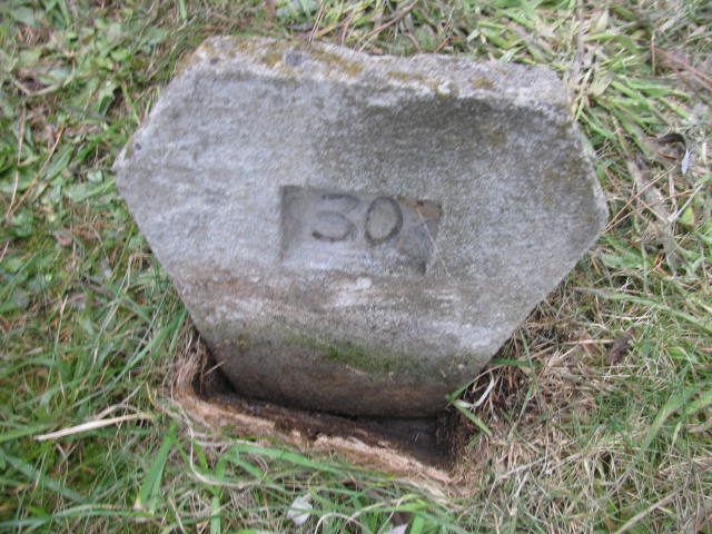 Bogusław Ruta 1936 Katowice - Grobonet - Wyszukiwarka osób pochowanych