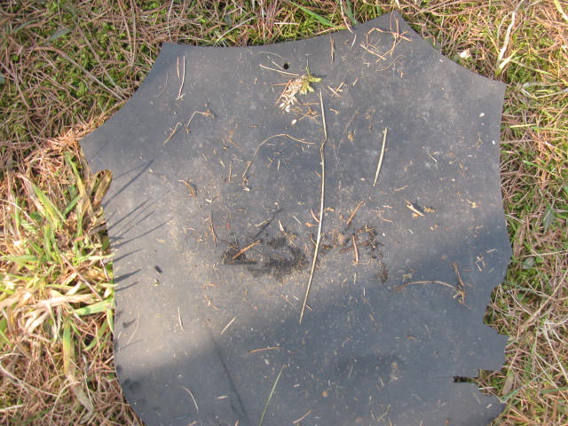 Walter Główka 1941 Katowice - Grobonet - Wyszukiwarka osób pochowanych