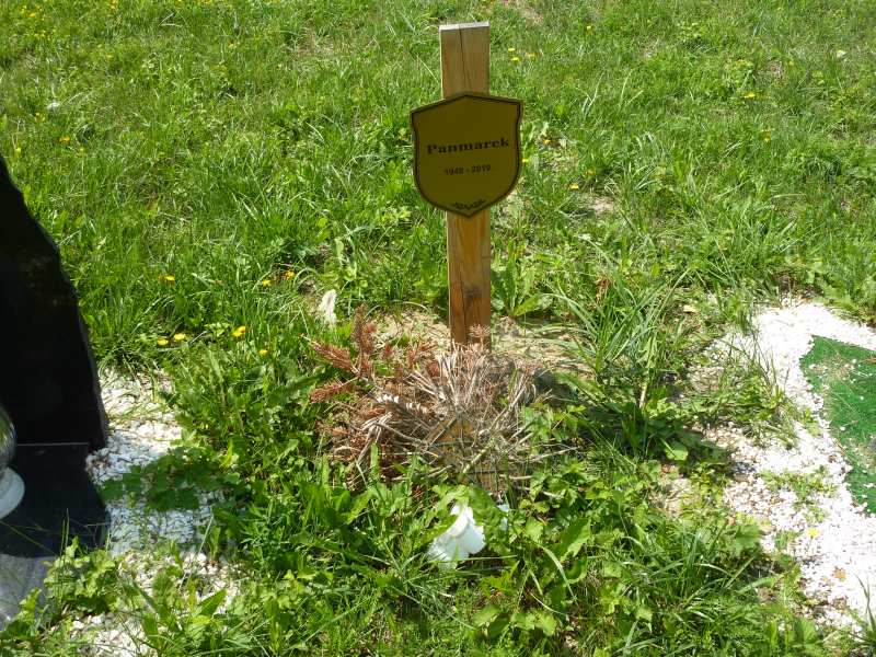 Marek Stolecki 1949 Katowice - Grobonet - Wyszukiwarka osób pochowanych