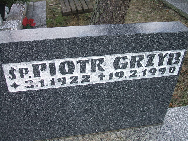 Janina Grzyb 1925 Katowice - Grobonet - Wyszukiwarka osób pochowanych