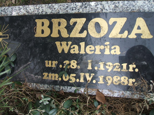 Waleria Brzoza 1921 Katowice - Grobonet - Wyszukiwarka osób pochowanych