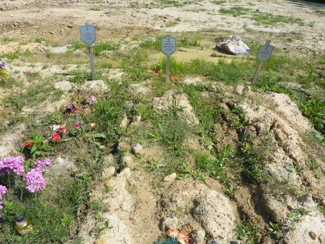 Grób Roman Dyrnowski