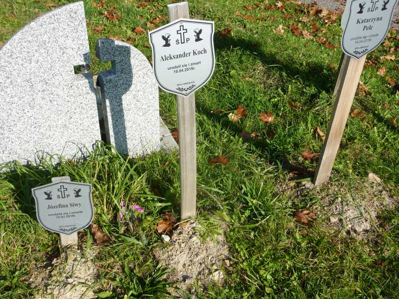 Aleksander Koch 2019 Katowice - Grobonet - Wyszukiwarka osób pochowanych