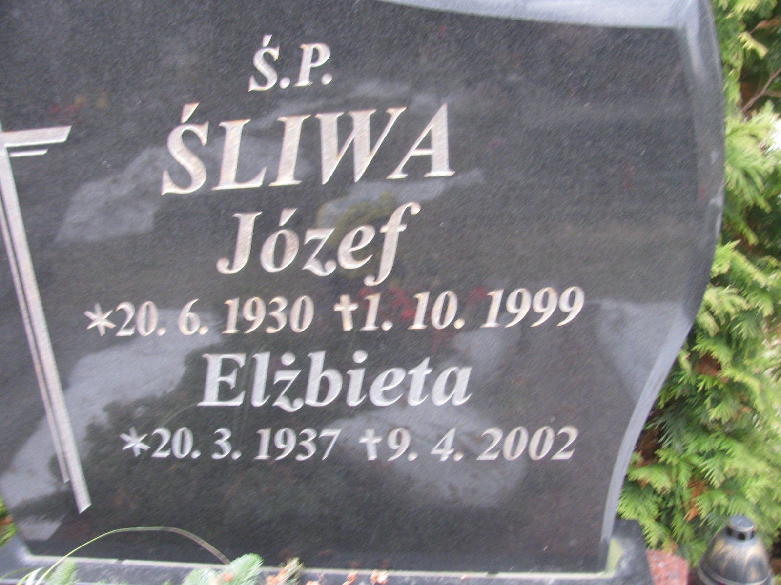Józef Śliwa 1930 Katowice - Grobonet - Wyszukiwarka osób pochowanych