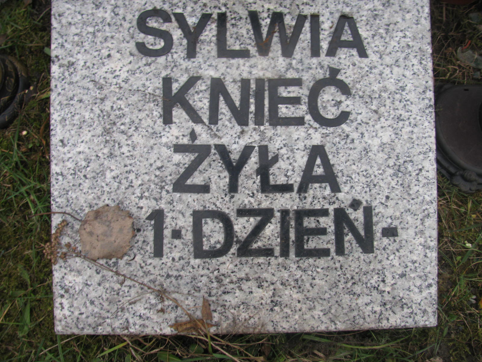 Sylwia Dąbkowska(Knieć) 2005 Katowice - Grobonet - Wyszukiwarka osób pochowanych