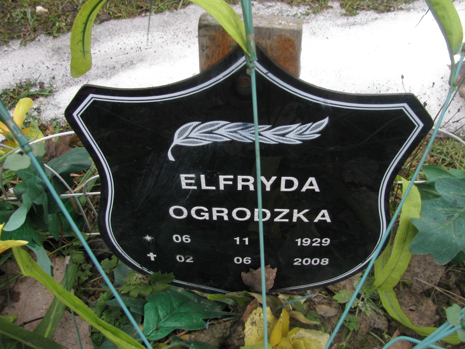 Zdjęcie grobu