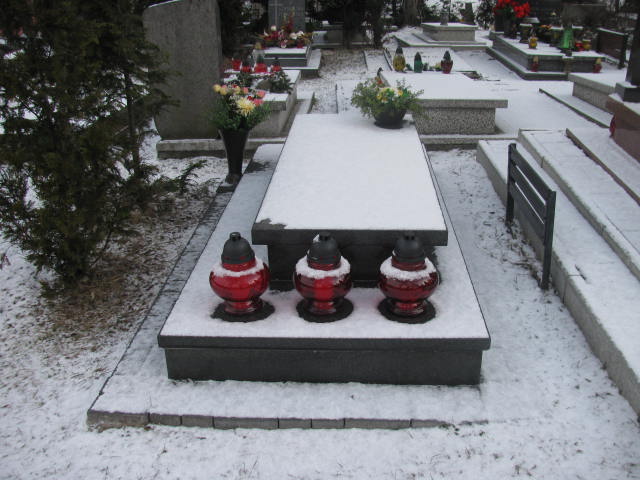 Grób Józef Cedrowicz