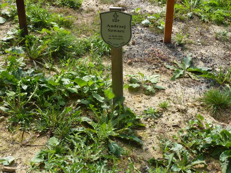 Andrzej Szwarc 1955 Katowice - Grobonet - Wyszukiwarka osób pochowanych