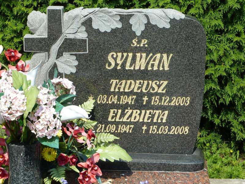 Tadeusz Sylwan 1947 Katowice - Grobonet - Wyszukiwarka osób pochowanych