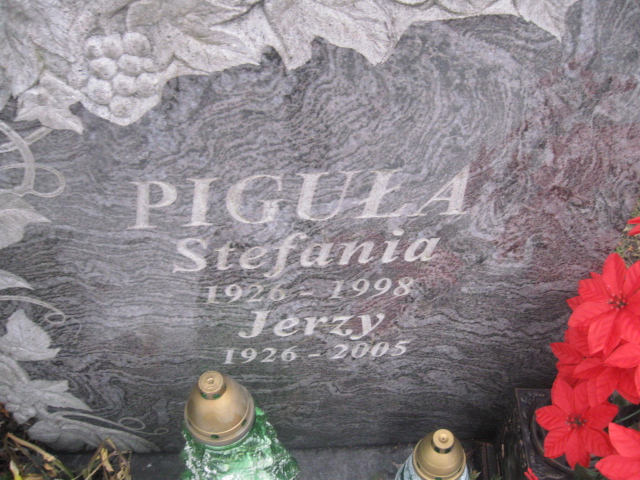 Jerzy Piguła 1926 Katowice - Grobonet - Wyszukiwarka osób pochowanych