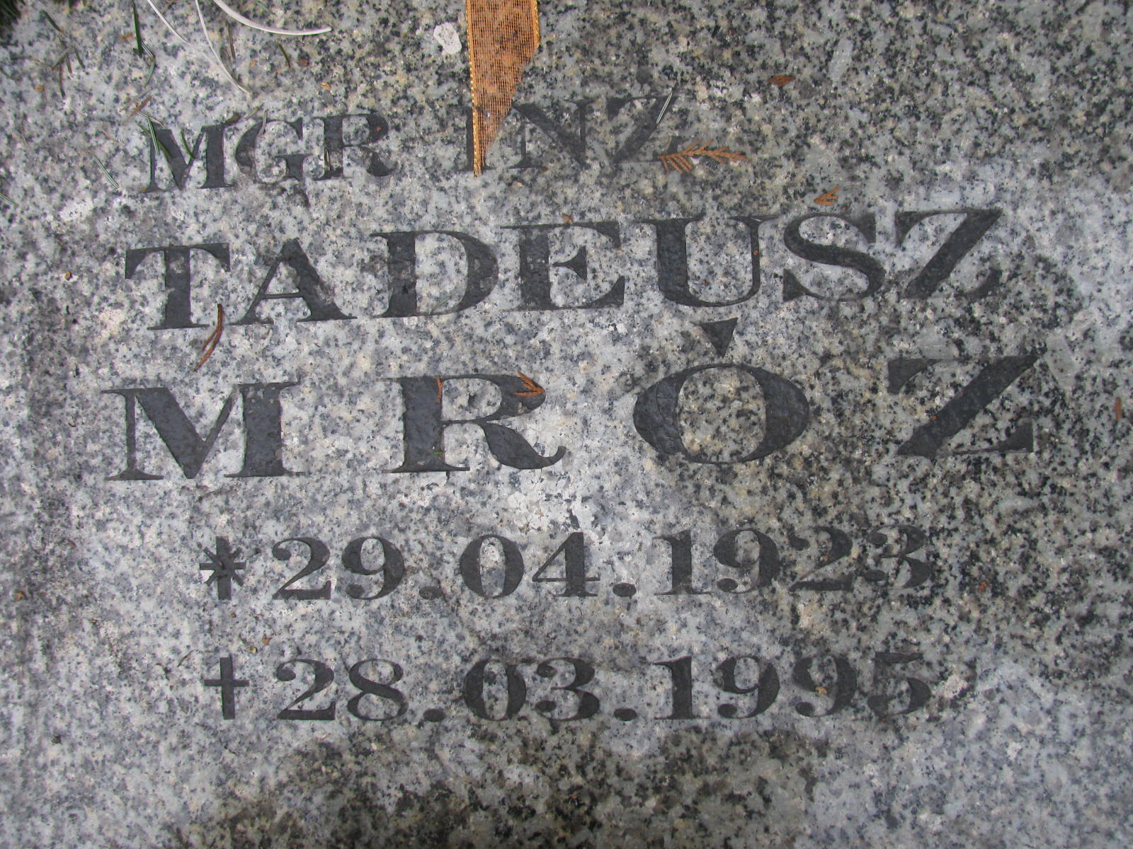 Zdjęcie grobu