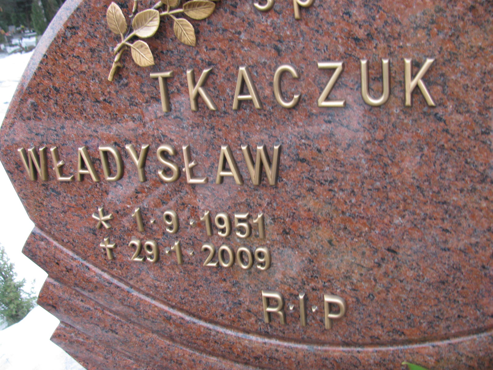 Władysław Tkaczuk 1951 Katowice - Grobonet - Wyszukiwarka osób pochowanych