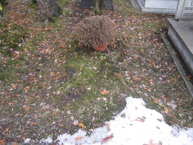 Regina Nowak 1920 Katowice - Grobonet - Wyszukiwarka osób pochowanych