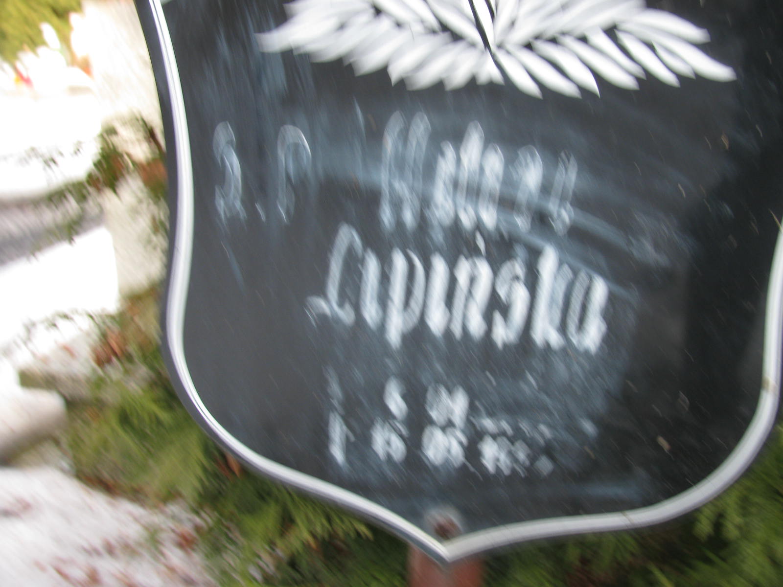 Halina Lipińska 1950 Katowice - Grobonet - Wyszukiwarka osób pochowanych