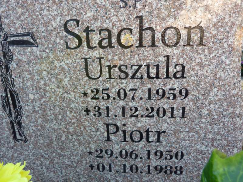 Piotr Stachoń 1950 Katowice - Grobonet - Wyszukiwarka osób pochowanych