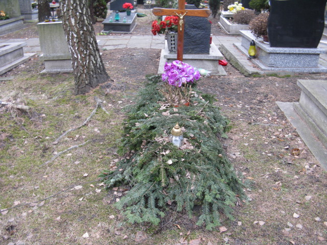  Krawczyk 1929 Katowice - Grobonet - Wyszukiwarka osób pochowanych